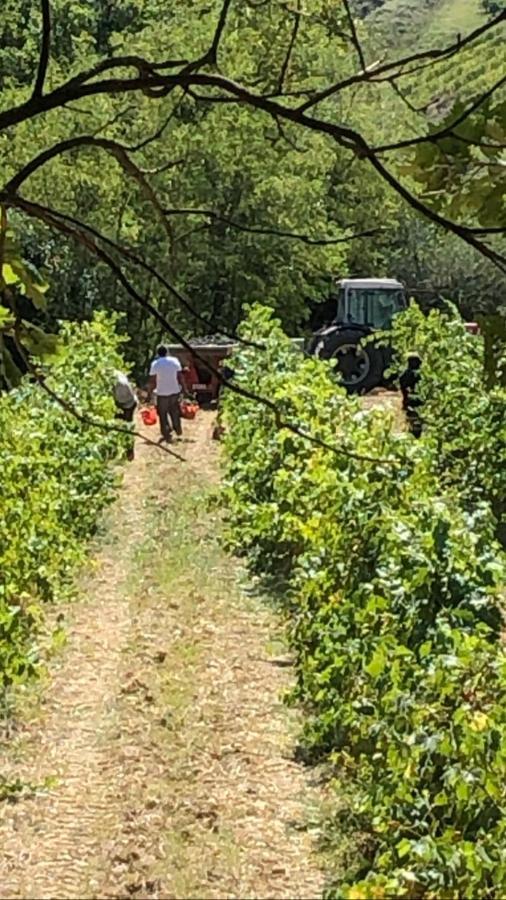Podere Ghiole Montespertoli Buitenkant foto