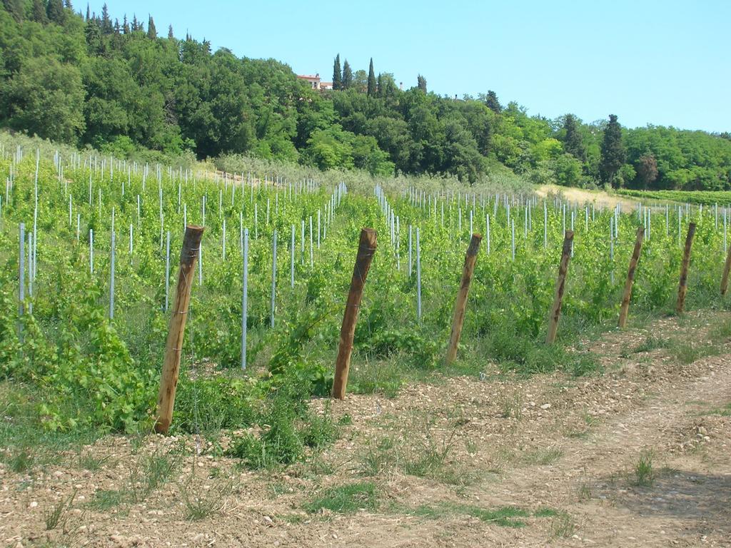 Podere Ghiole Montespertoli Buitenkant foto