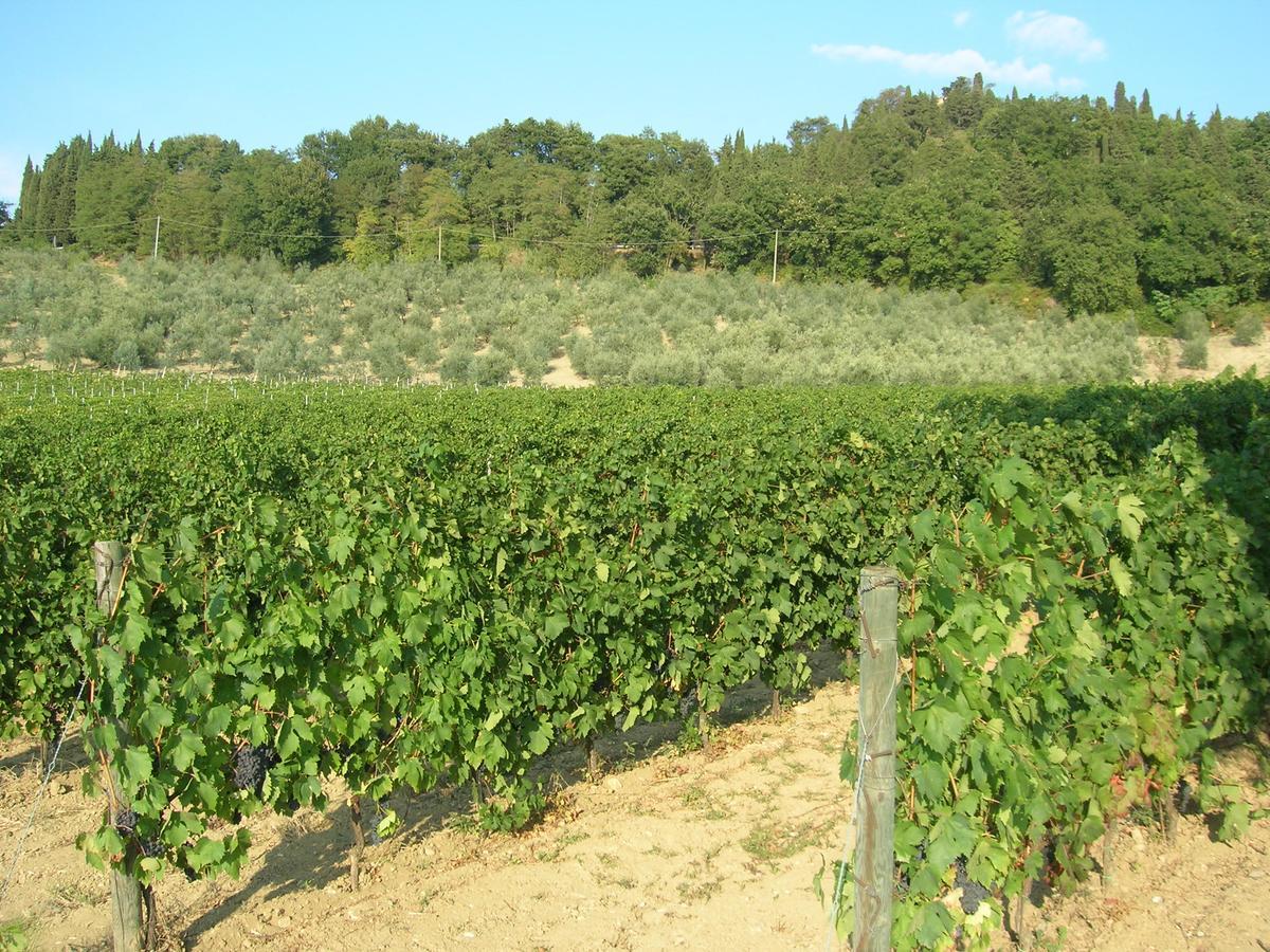 Podere Ghiole Montespertoli Buitenkant foto